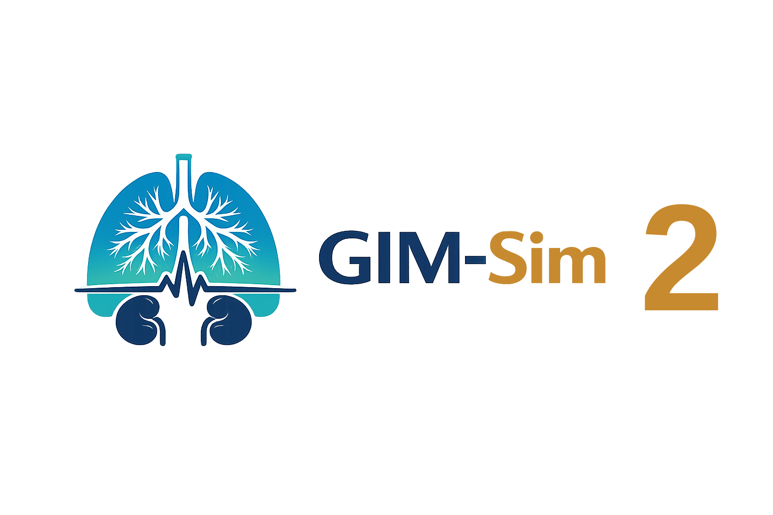 GIM-Sim: 2