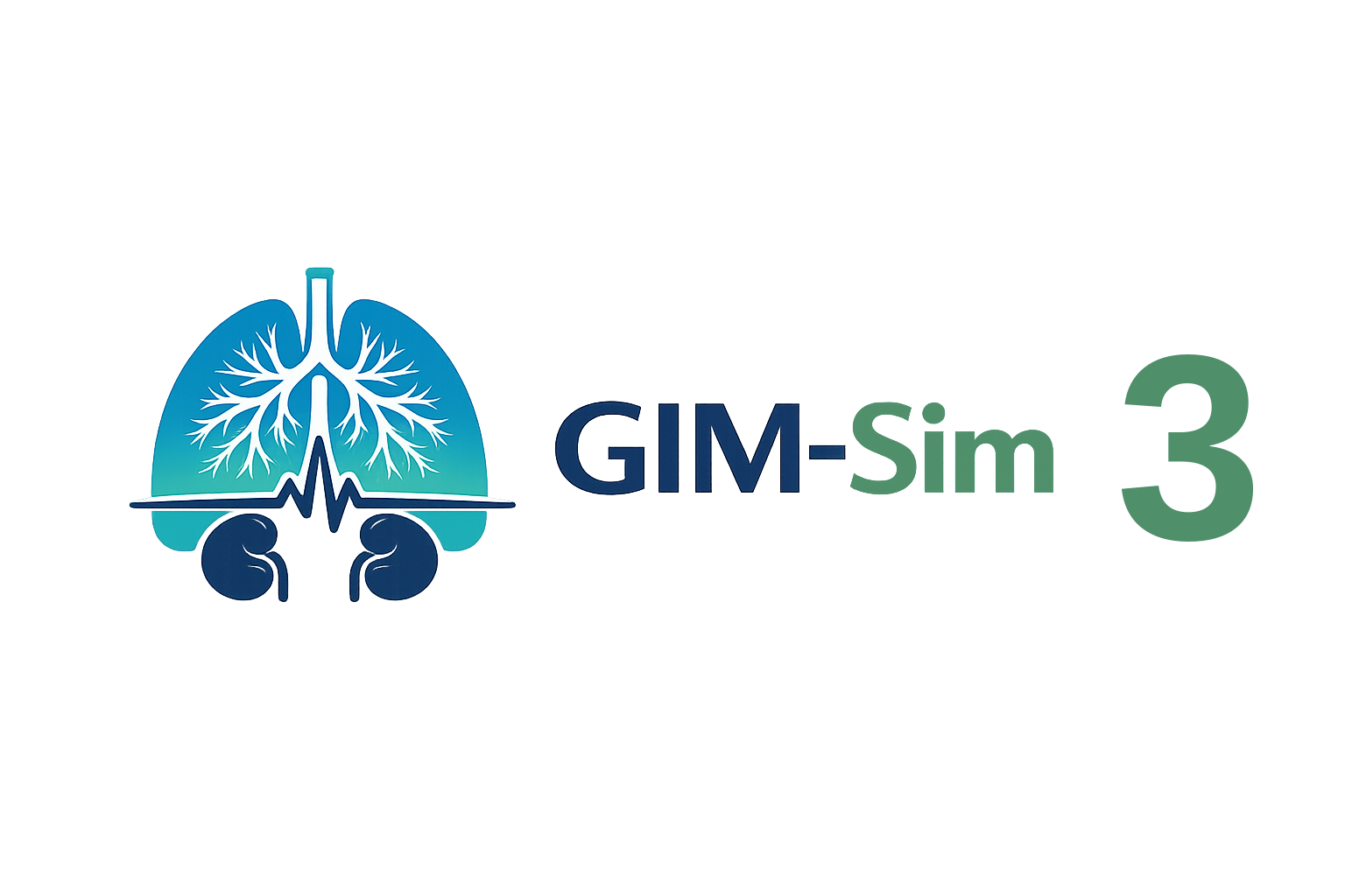 GIM-Sim: 3