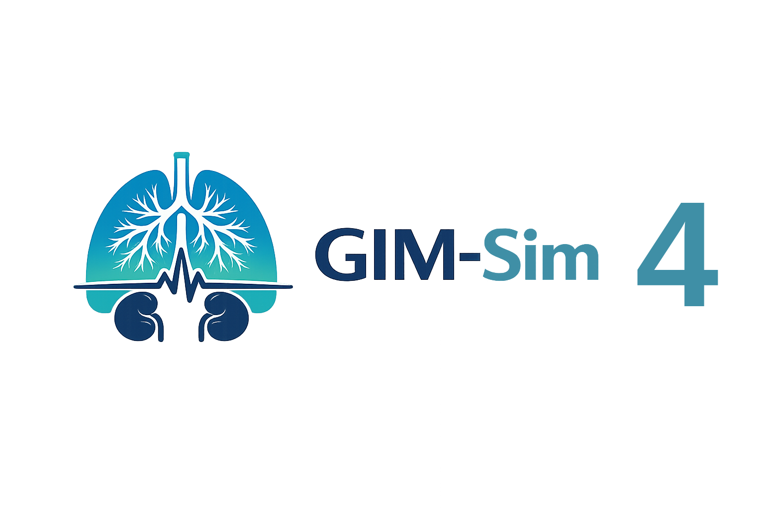 GIM-Sim: 4